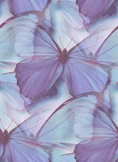Бесшовные фоны с бабочками и насекомыми - Страница 2 PF3aSAf-rGQ